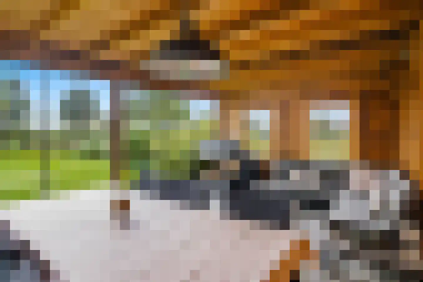 Kattenstraat 8 Wanroij thumbnail 45