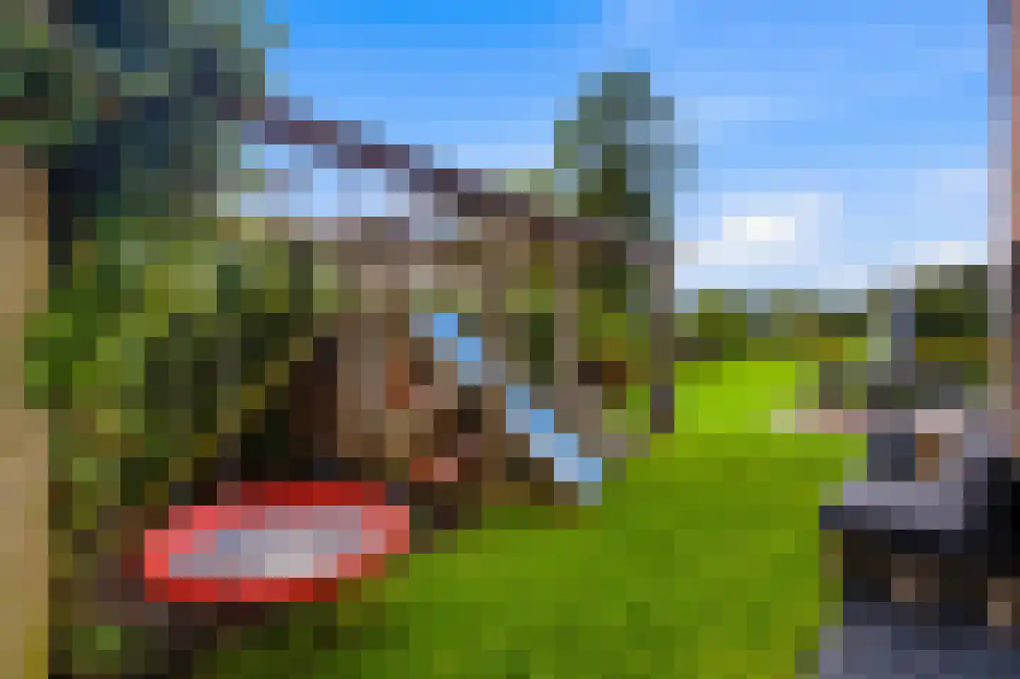 Kattenstraat 8 Wanroij thumbnail 50