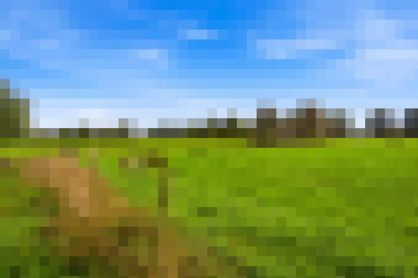 Kattenstraat 8 Wanroij thumbnail 64