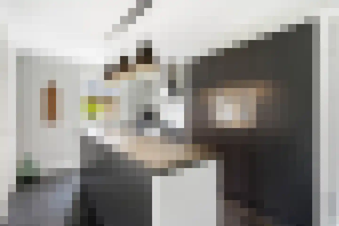 Kattenstraat 8 Wanroij thumbnail 9