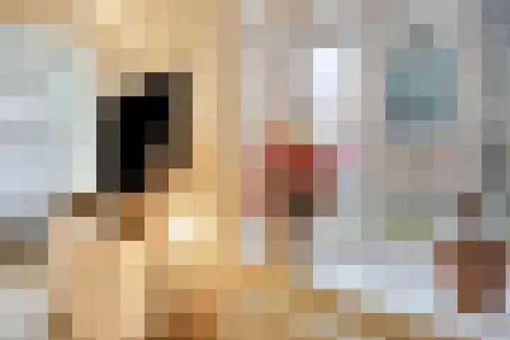 Kattenstraatje 2 Goes thumbnail 11