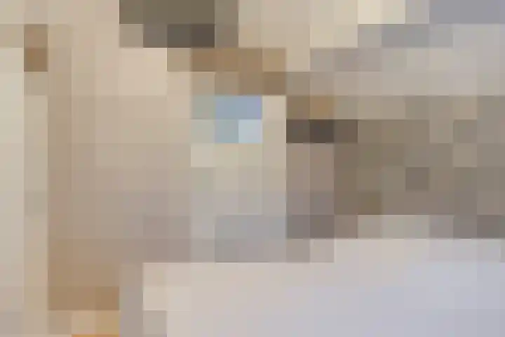 Kattenstraatje 2 Goes thumbnail 14