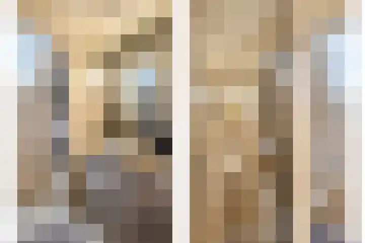 Kattenstraatje 2 Goes thumbnail 15