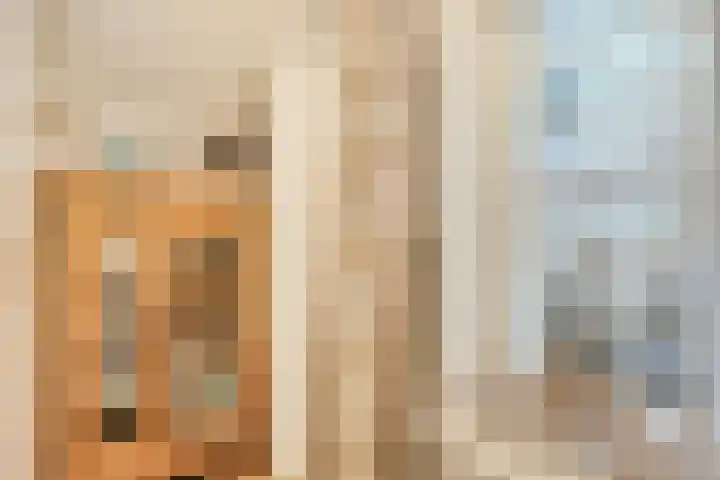 Kattenstraatje 2 Goes thumbnail 16