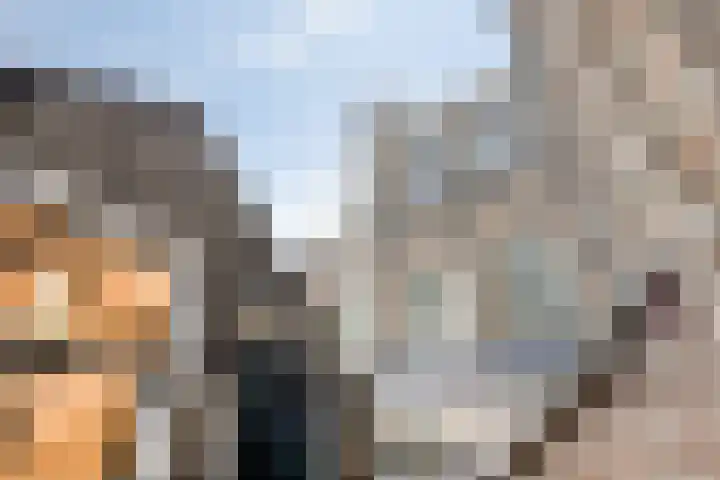 Kattenstraatje 2 Goes thumbnail 19