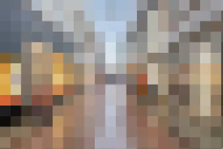 Kattenstraatje 2 Goes thumbnail 23
