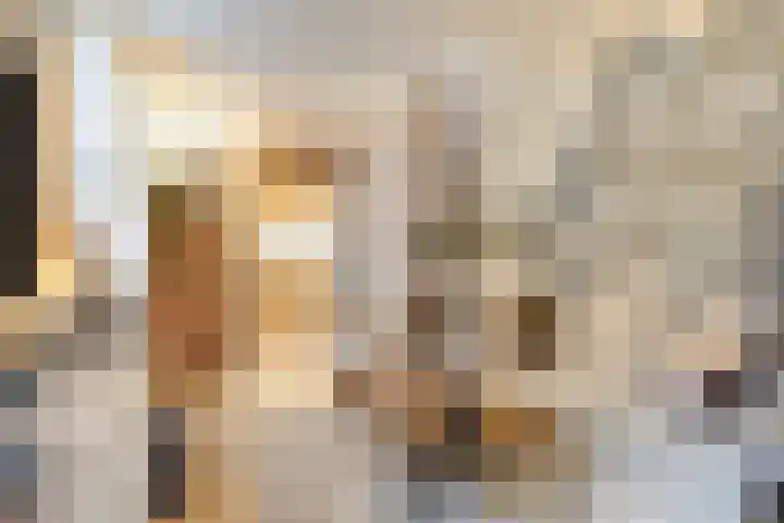 Kattenstraatje 2 Goes thumbnail 4
