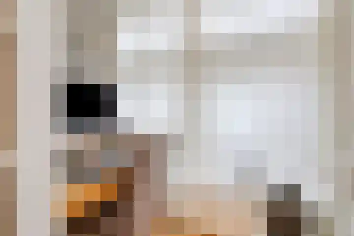 Kattenstraatje 2 Goes thumbnail 6