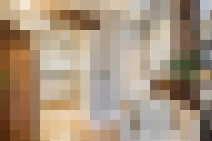 Kattenstraatje 2 Goes thumbnail 7