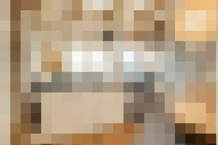 Kattenstraatje 2 Goes thumbnail 8