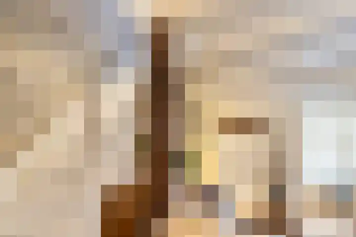 Kattenstraatje 2 Goes thumbnail 9