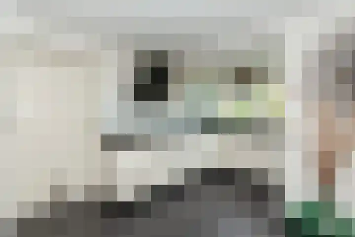 Kattenwiel 1 Alblasserdam thumbnail 10