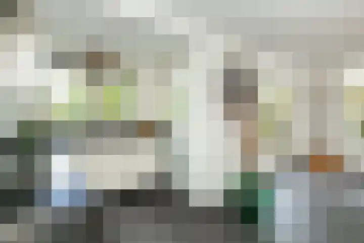 Kattenwiel 1 Alblasserdam thumbnail 11