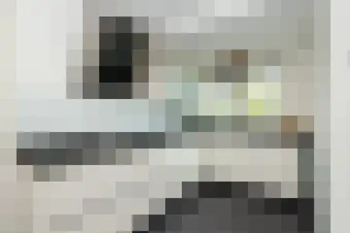 Kattenwiel 1 Alblasserdam thumbnail 12
