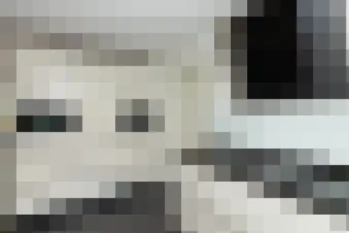 Kattenwiel 1 Alblasserdam thumbnail 13