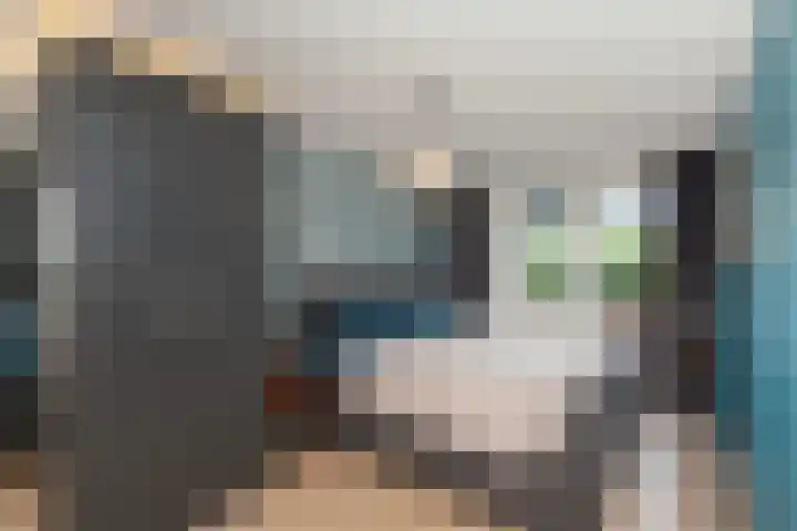 Kattenwiel 1 Alblasserdam thumbnail 16
