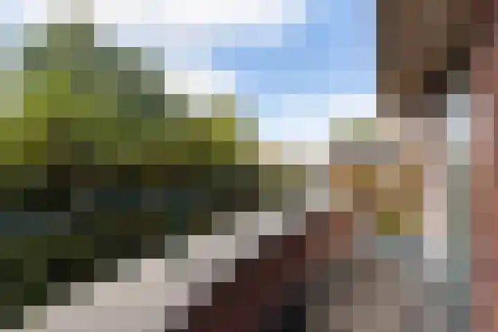Kattenwiel 1 Alblasserdam thumbnail 18