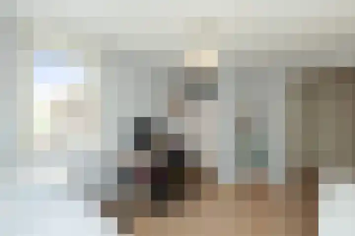 Kattenwiel 1 Alblasserdam thumbnail 21