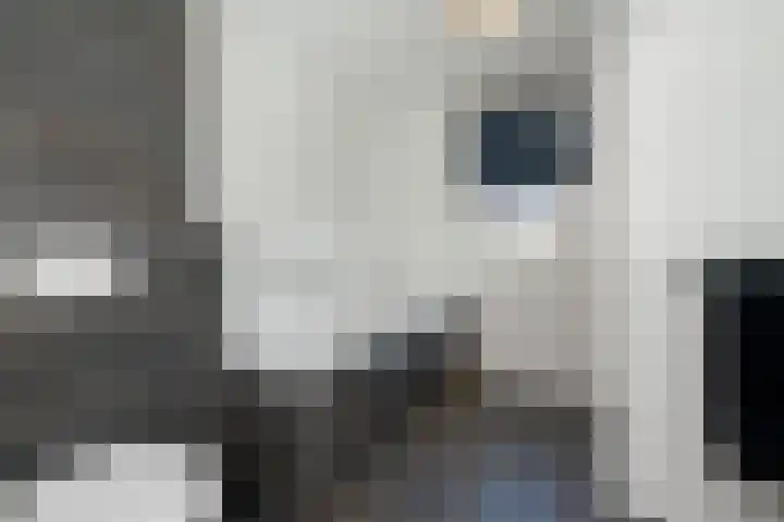 Kattenwiel 1 Alblasserdam thumbnail 26