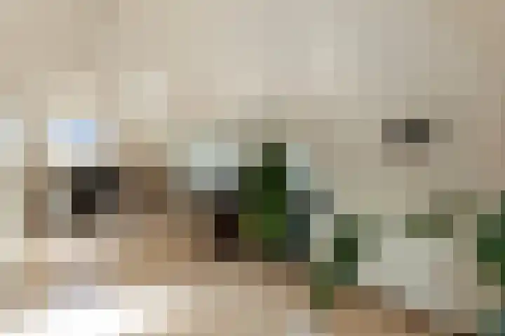 Kattenwiel 1 Alblasserdam thumbnail 29