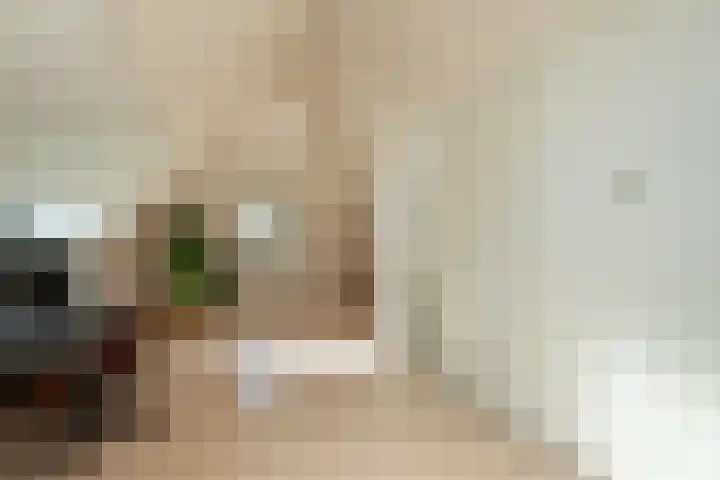Kattenwiel 1 Alblasserdam thumbnail 30