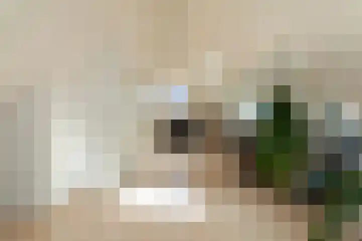 Kattenwiel 1 Alblasserdam thumbnail 31