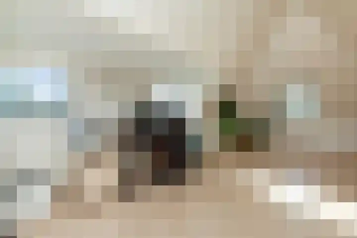 Kattenwiel 1 Alblasserdam thumbnail 32