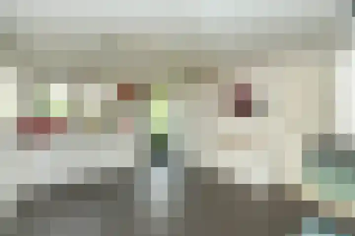 Kattenwiel 1 Alblasserdam thumbnail 36