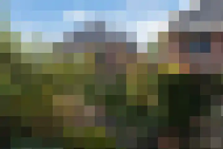 Kattenwiel 1 Alblasserdam thumbnail 39