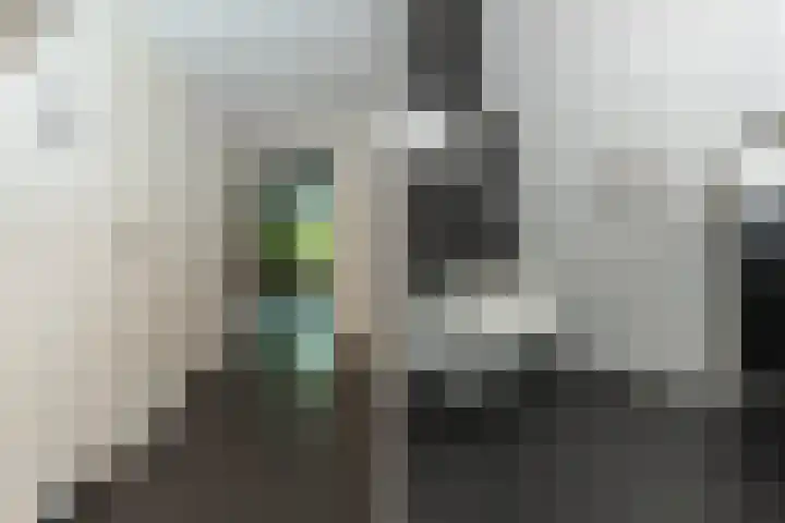 Kattenwiel 1 Alblasserdam thumbnail 4