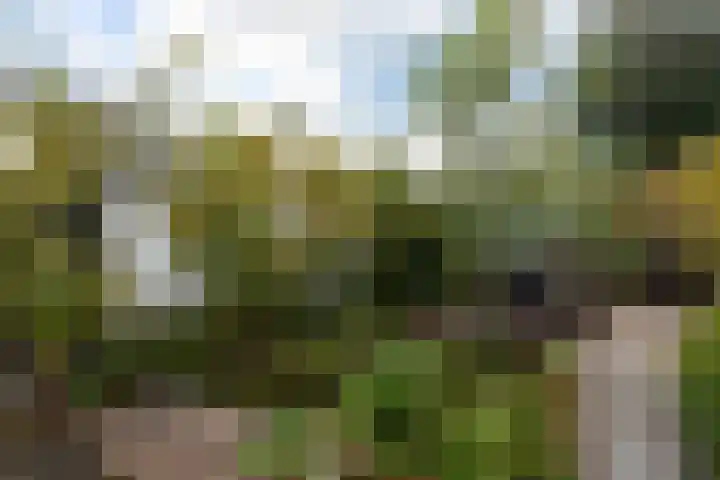 Kattenwiel 1 Alblasserdam thumbnail 40