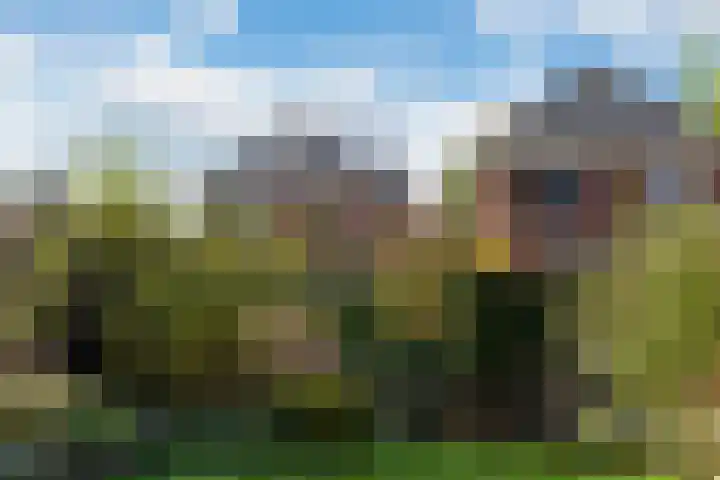 Kattenwiel 1 Alblasserdam thumbnail 41