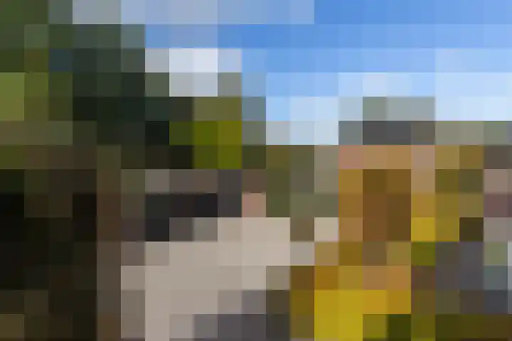 Kattenwiel 1 Alblasserdam thumbnail 44