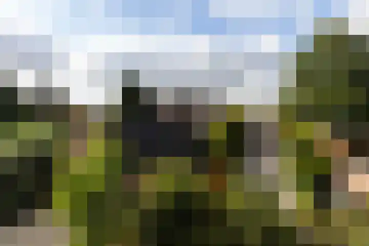 Kattenwiel 1 Alblasserdam thumbnail 45