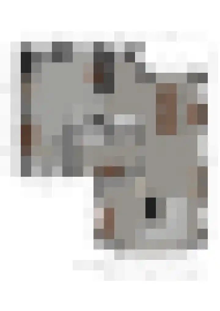 Kattenwiel 1 Alblasserdam thumbnail 46
