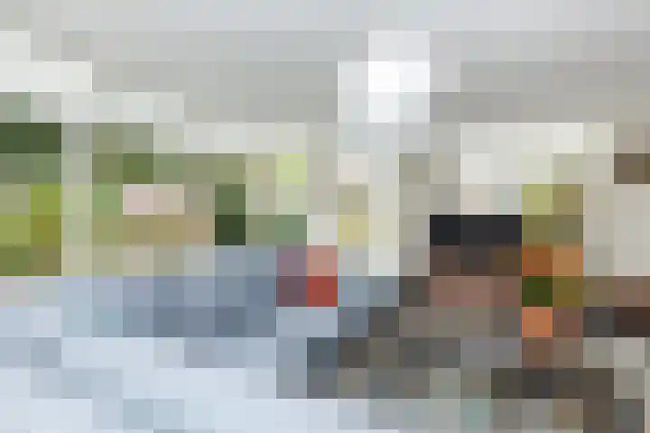 Kattenwiel 1 Alblasserdam thumbnail 7