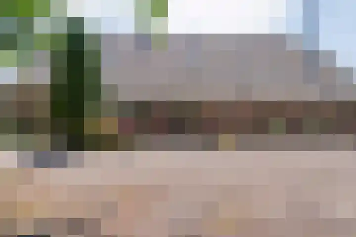 Kattenwinkelweg 4 Zwolle thumbnail 10