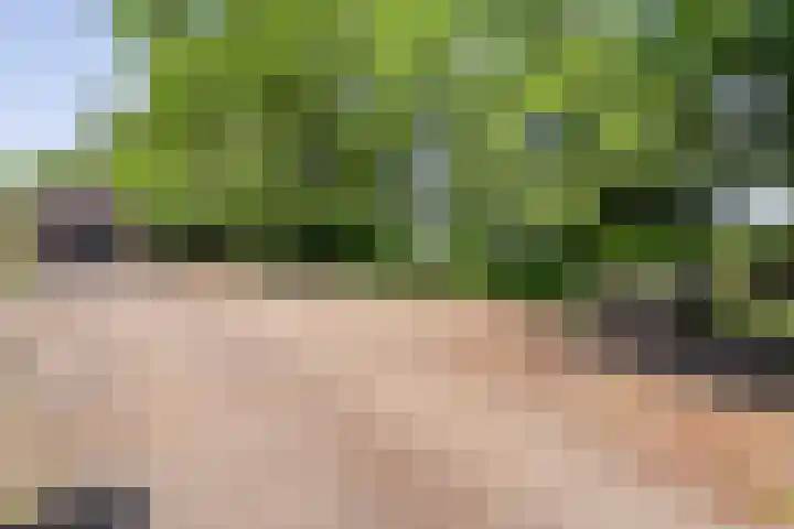 Kattenwinkelweg 4 Zwolle thumbnail 11