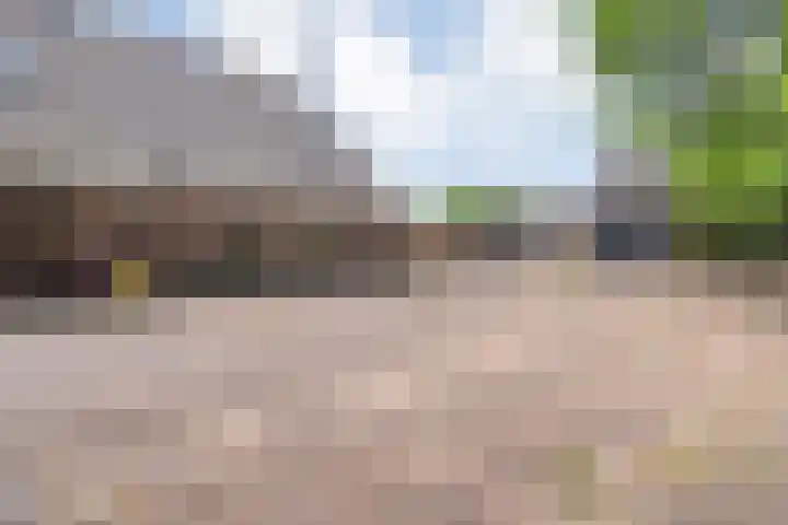 Kattenwinkelweg 4 Zwolle thumbnail 12