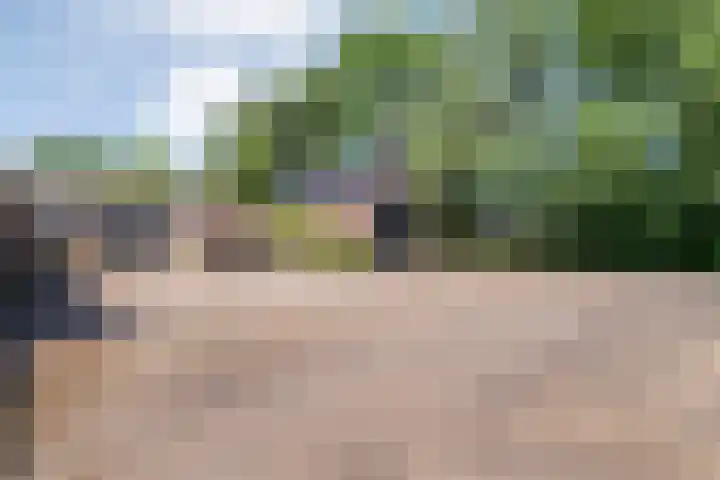 Kattenwinkelweg 4 Zwolle thumbnail 13