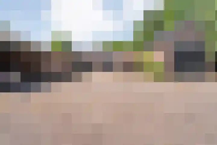 Kattenwinkelweg 4 Zwolle thumbnail 14