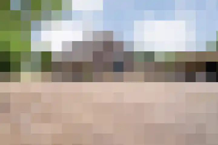 Kattenwinkelweg 4 Zwolle thumbnail 15