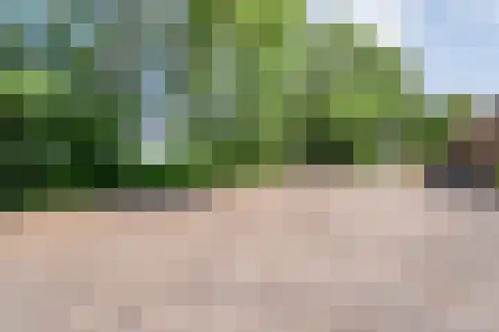 Kattenwinkelweg 4 Zwolle thumbnail 16