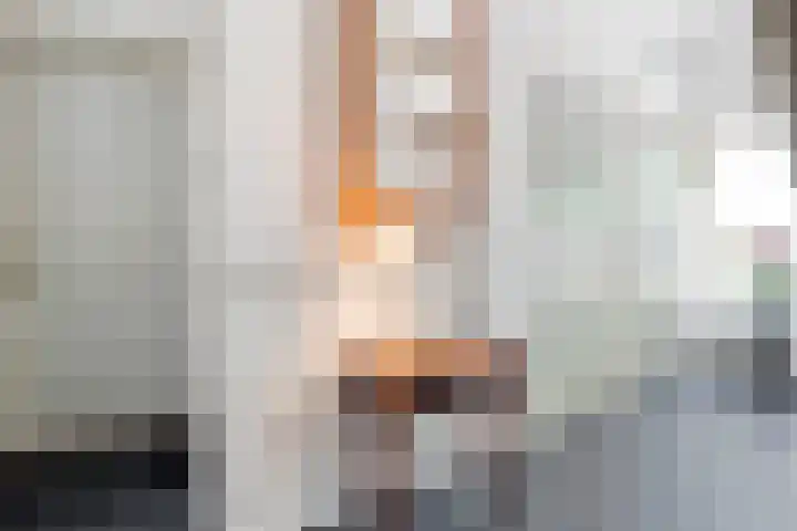 Kattenwinkelweg 4 Zwolle thumbnail 17