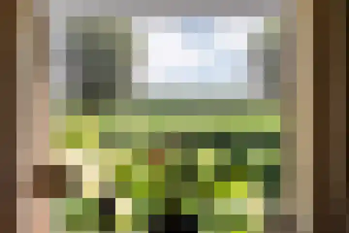 Kattenwinkelweg 4 Zwolle thumbnail 25