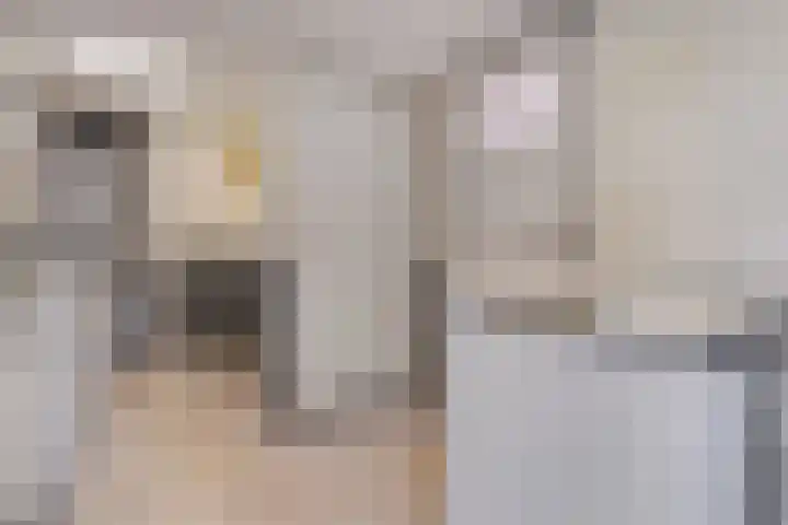 Kattenwinkelweg 4 Zwolle thumbnail 34