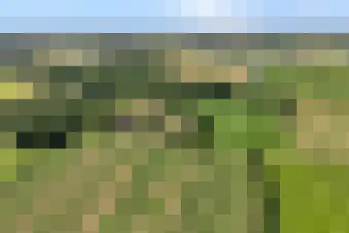 Kattenwinkelweg 4 Zwolle thumbnail 4