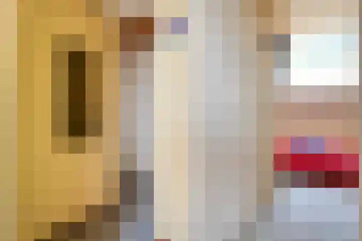 Kattenwinkelweg 4 Zwolle thumbnail 41