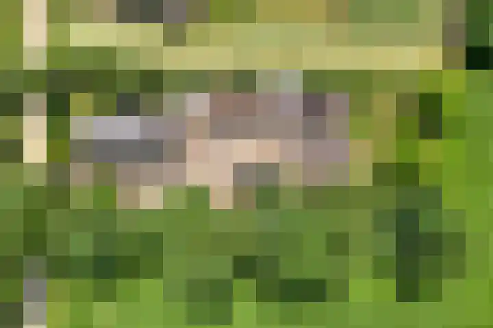Kattenwinkelweg 4 Zwolle thumbnail 5