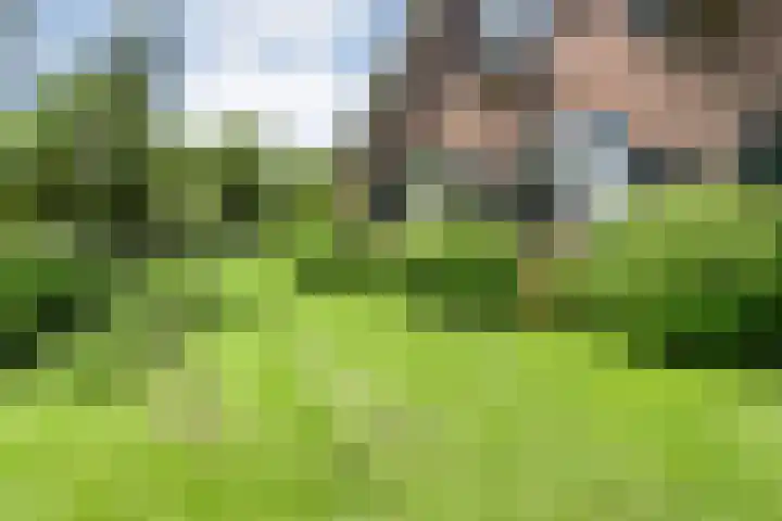 Kattenwinkelweg 4 Zwolle thumbnail 52